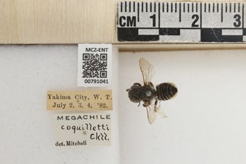Media type: image;   Entomology 791041 Aspect: Labels